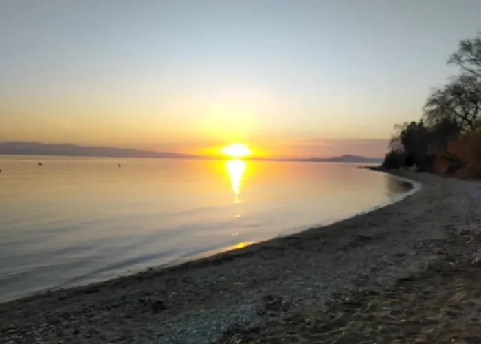 Blue Dream Pelion Milies South Pelion Lägenhet Koropi