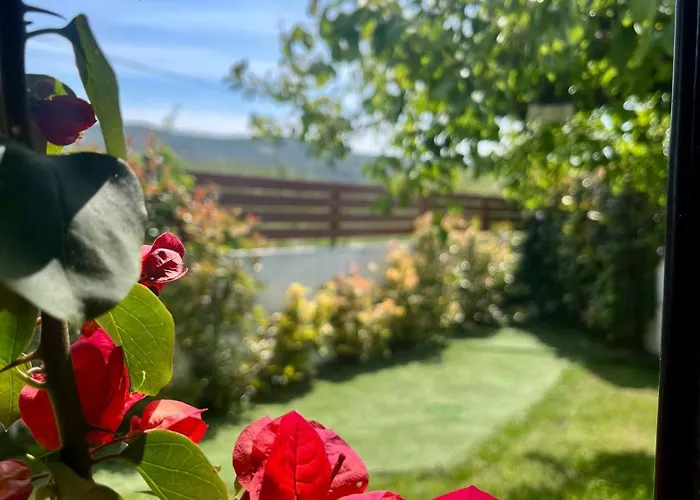 Blue Dream Pelion Milies South Pelion *