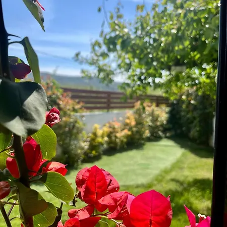 Blue Dream Pelion Milies South Pelion *